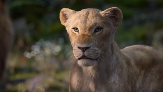 la chanteuse beyonce prête sa voix à nala dans le film le roi lion