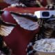 Les Gremlins en série sur WarnerMedia